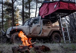 cajunsc74: Goalsss 