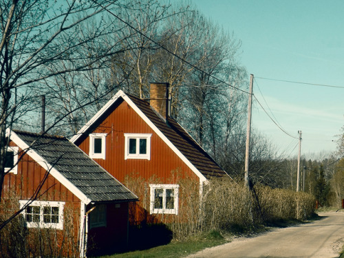 Sex Rural Sweden. pictures