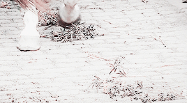 danenerys: From the ashes, a fire shall be woken,A light from the shadows shall spring;Renewed shall