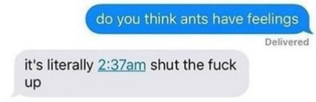 blue text: "do you thing ants have feelings" grey text: "it's literally 2:37am shut the fuck up"