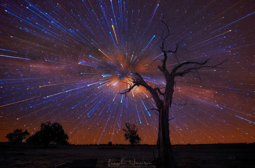 spinningblueball: Star Trails By Lincoln Harrison