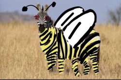 beesforpresident:  A zebra, apparently.