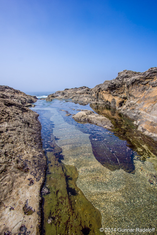 7.7.2014 - day 5 on the West Coast Trail #BC #Canada #VancouverIsland #WestCoastTrailPortfolio 