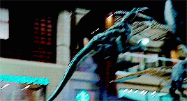 Jurassic Daily