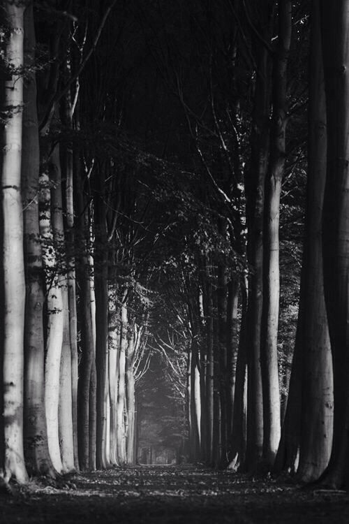 The nature