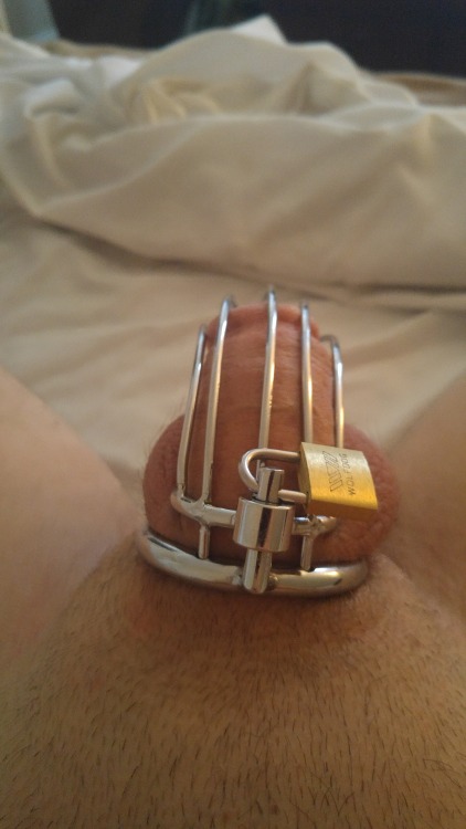 holy-trainer-locked:  A familiar view!