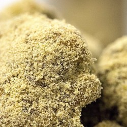 weedporndaily:  Beluga - flower dipped in hash oil rolled in kief all in-house by Raincity Medical #dopemagazine by alliebeckettphoto http://ift.tt/1fkGMx5