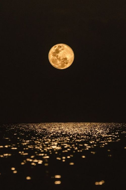 lone-moon-pierrot - Tales of Harmonus