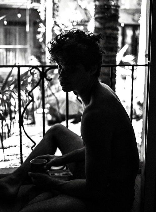 Porn halle-berry:Noah Centineo photographed by photos