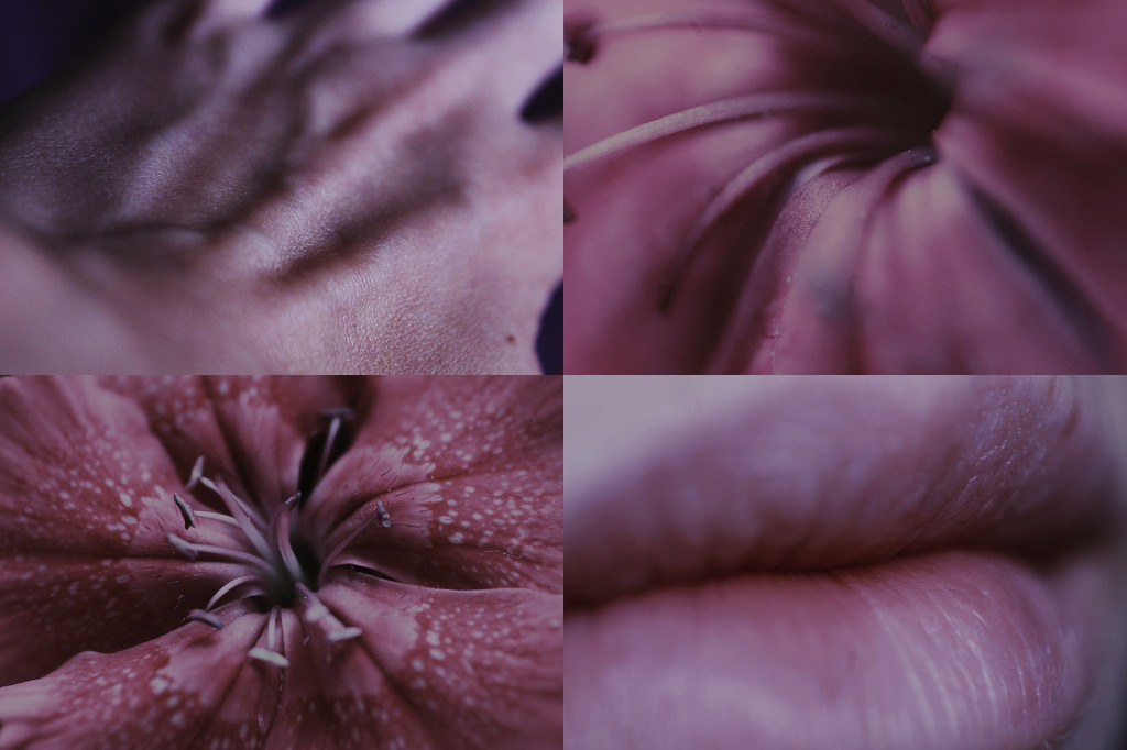 floralls:  anxious (by invisiblei) 
