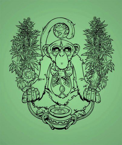 misunderstooddilemma:  greenmonk on We Heart It - http://weheartit.com/entry/57924057/via/alice_31