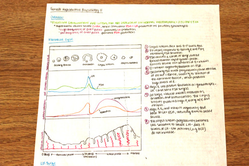 sarahsaysmd: In med school, taking notes is hard because there’s SO much material. I remember going through one of my lectures and wondering how the hell I was going to simplify it to something I could actually remember. I usually make what are called