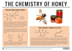compoundchem:  Honey is a food oddity in that it doesn’t spoil. Here’s the chemistry behind why, as well as an explanation of how bees make honey: http://wp.me/p4aPLT-qn 