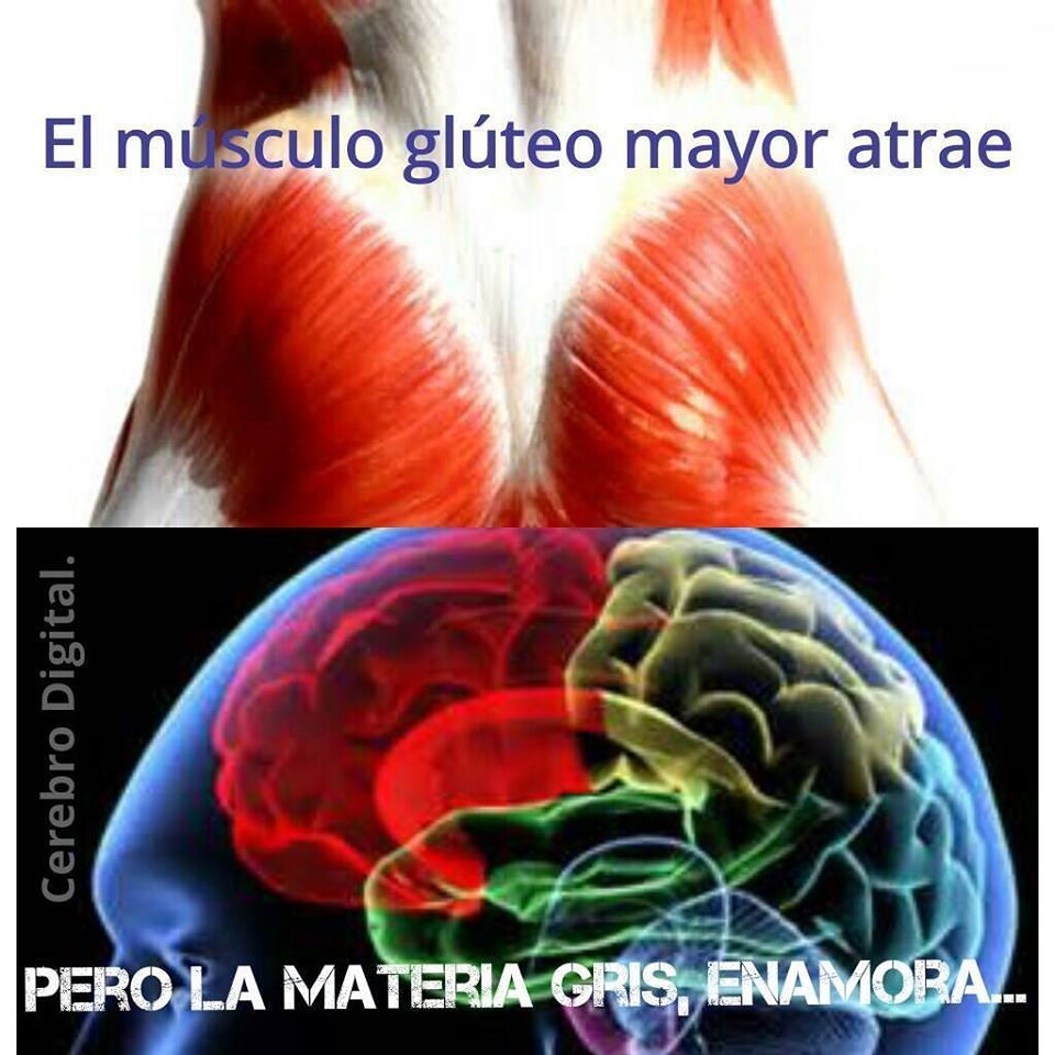 cerebrodigital:  Un poco de #Humor y #Anatomía :)  Jajaja 🤔