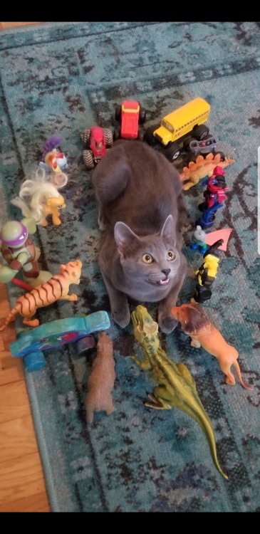 awwww-cute:  She’s mean to everyone except my 5 year old son. (Source: https://ift.tt/2G0qdY8)