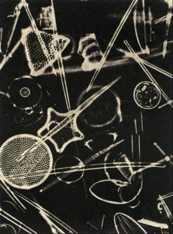 gacougnol:  Laure Albin Guillot  Microphotograph c. 1929 