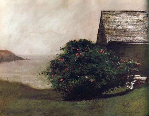 Jamie Wyeth, Island Roses, 1978.