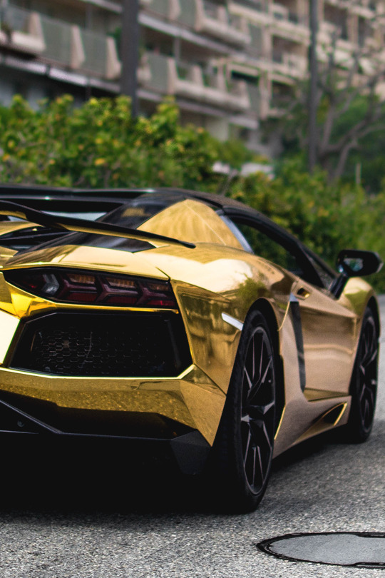 italian-luxury:  Gold Aventador | Photographer