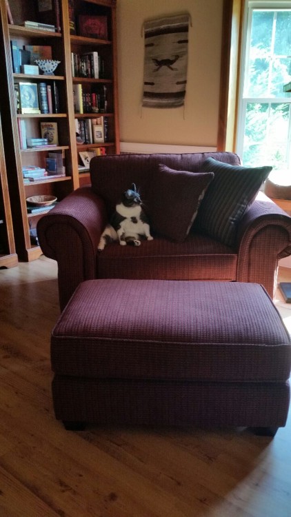 Mom got a new chair for the library today, two minutes after we set it up Esther decided it was hers