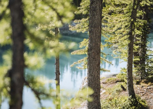 HIKING THE ROCKWALL TRAILThe Rockwall Trail is stunning a 55km (34 mile) trek through BC&rsquo;s Roc