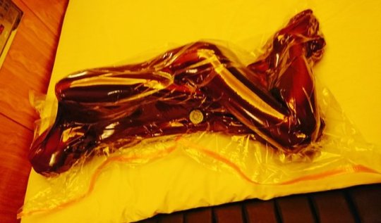 latexdroned:  lokidesigyn:  Life of a Drone:A newly delivered drone still vacuum sealed and awaiting its Owner.Once the package is opened the Kreature will initiate the bonding process. The scent, taste, and feel of its new Master or Mistress will be