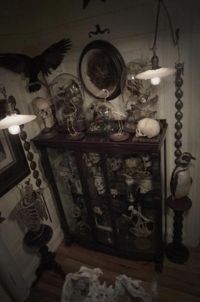 Vixens and Monsters