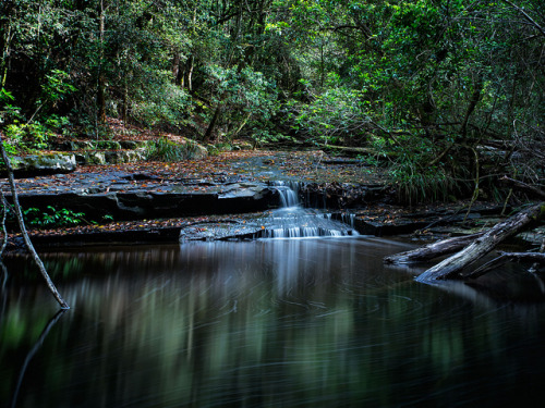 Jerusalem Creek by Peter Knott on Flickr.