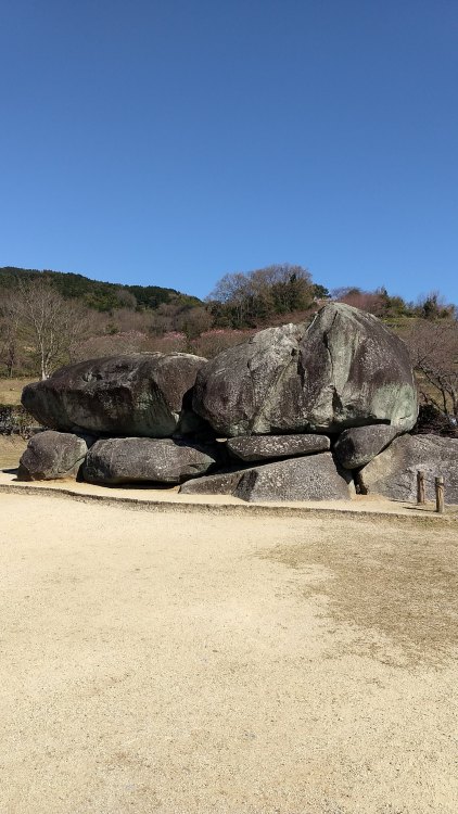 石舞台古墳新型コロナウィルスの感染が急速に拡大していて、ウィルスへの感染自体もそうですが、経済的な影響もだいぶ心配になってきました。先日、石舞台古墳が無料開放されていたので、人との距離は保ちつつちょっ