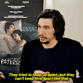 beneffleck:“Nelly, a wonderful dog that plays Marvin. She was a rescue dog and she was really a joy to work with. She kind of fell in love with Adam.” - Jim Jarmusch on the dog from Paterson
