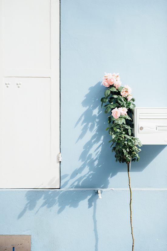 Everything Is Blue