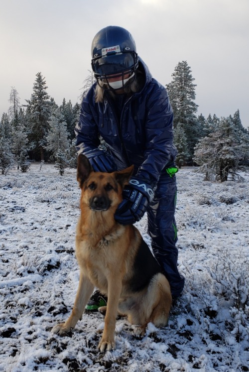 Out on walkies in blue PVC puffy suit, hockey gloves, and Seahawks helmet with a furry friend - doub