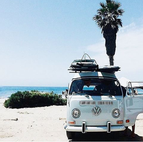 Z O I O D E S ☀ L