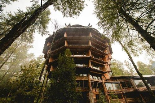 voiceofnature:Magic Mountain LodgeThis hotel is located in Huilo Huilo, a Natural Reserve in Chile. 