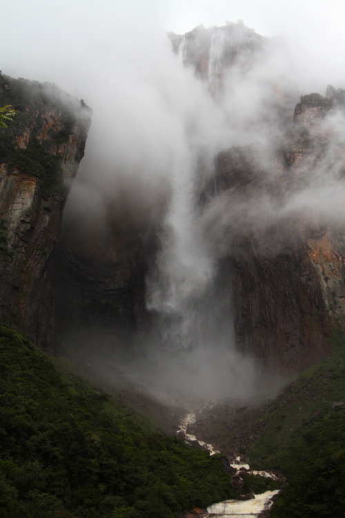 obsol:eartheld:absinthius:Angel Falls by Marc Wisniakmostly nature 100% nature (msg me a xx for a pr