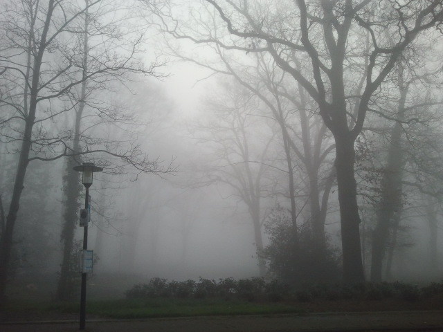 glowfull:  xenomore:  follow for more   fog/glow blog 