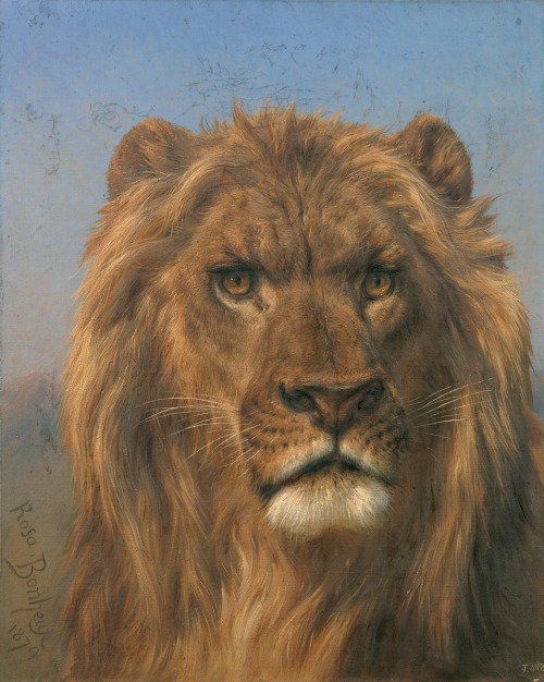 Portrait of a Lion, Rosa Bonheur, 1879