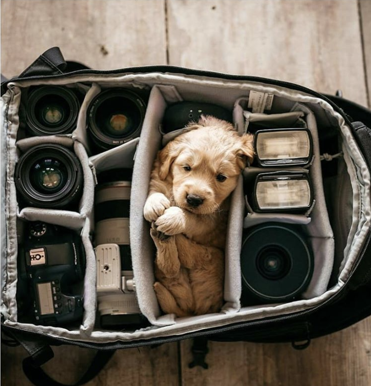 the-perfect-aesthetic:We are ready for a New York trip