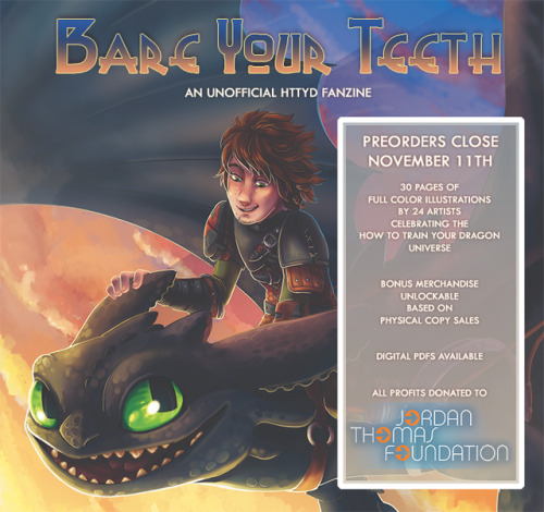 httydfanzine: Pre-Orders are officially open! After weeks of hard work from 24 incredible artists, w