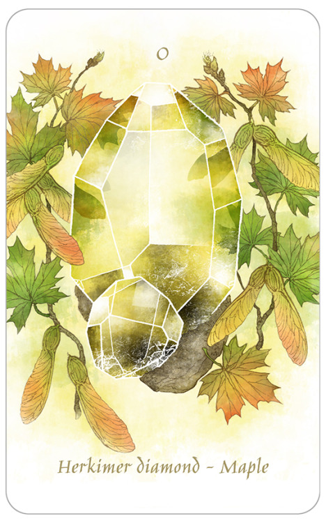 Telluric Tarot- Herkimer diamond (quartz) and mapleTarot equivalent to The Fool- Trust, beginning, o