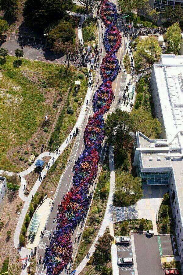 2600 people celebrating the discovery of DNA