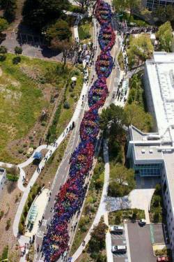 2600 people celebrating the discovery of DNA