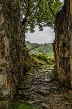 fancyadance:   Tilberthwaite Quarry, Cumbria