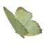 myriadian