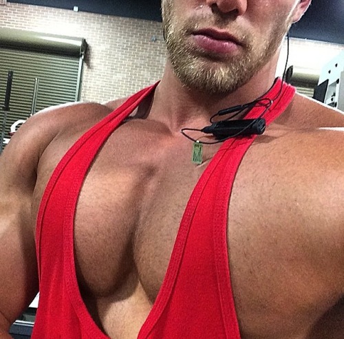 builddudebuild:  My big motivator, Mischa Janiec  Fucking swole chest appreciation post!