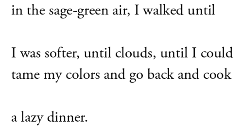 Ada Limn, From Only The Faintest Blue, In The Hurting Kind