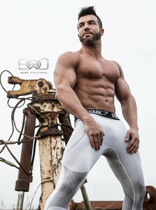 Dedicated Follower of Bulges