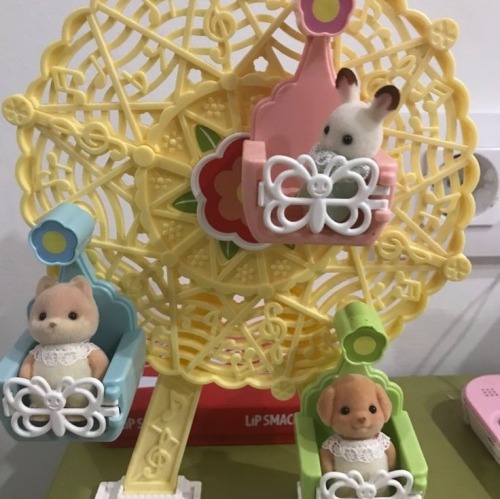  ᥀ ் 𓆇 Cute Calico Baby's ꪆ. ✦ 