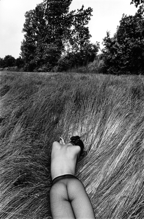 vivipiuomeno1: Michel Pinel ph. (France, 1949) :  Façe au soleil, Hollande 1989Collant R