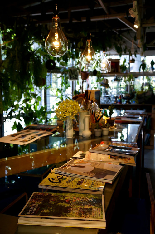 (From MyStyleVacation - Gardening Shop in SOLSO FARM)
Photo: rika