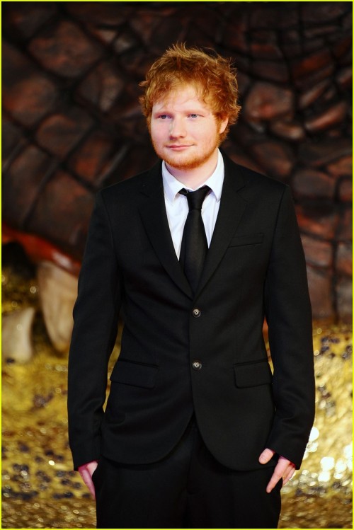 mariehumanoid: Ed Sheeran “The Hobbit” Première at Berlin.
